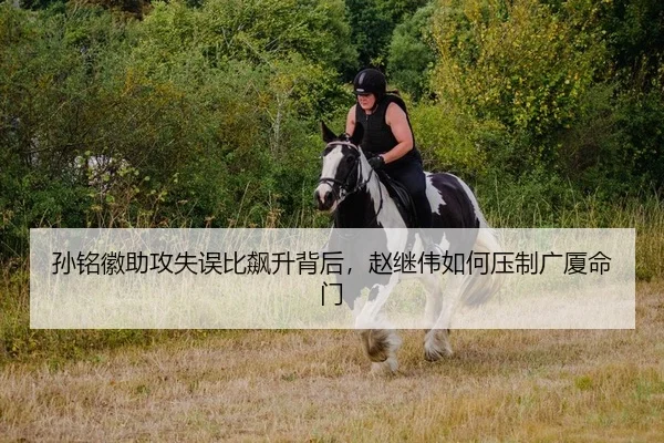sun-ming-hui-zhu-gong-shi-wu-bi-biao-sheng-bei-hou-zhao-ji-wei-ru-he-ya-zhi-guang-sha-ming-men-2-371.jpg